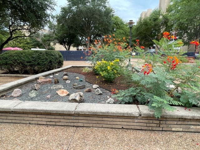 Rock garden outside the UH Earth and Atmospheric Sciences building